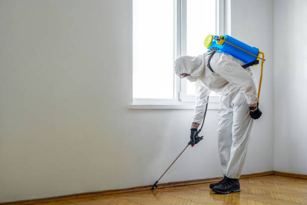 Pest Prevention Services in Altamont, OR